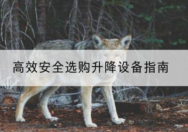 宁江升降货梯厂家推荐-*安全选购升降设备指南