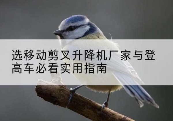宁江电动升降机厂家-选移动剪叉升降机厂家与登高车必看实用指南