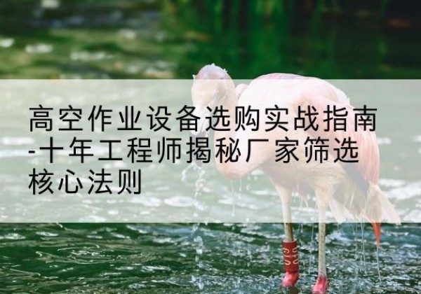 宁江剪叉式升降机厂家-高空作业设备选购实战指南-十年工程师揭秘厂家筛选核心法则